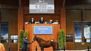 ミックスセール2023が開幕…上場番号1番レッドティーの23が6000万円で落札