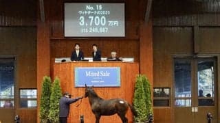 【ミックスセール2023】インディチャンプ産駒が3700万円で落札…ヴィヤダーナの23