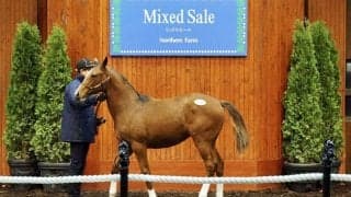 【ミックスセール2023】モーリス産駒が6200万円で落札…アウェイクの23