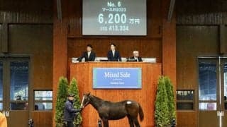 【ミックスセール2023】コントレイル産駒のメスが6200万円で落札