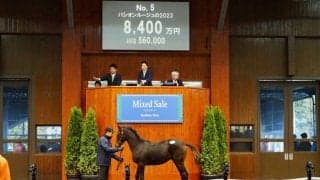 【ミックスセール2023】ファインルージュ半弟が8400万円で落札