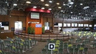 【ミックスセール2023】当歳セッションは総額15億2800万円 最高額はファインルージュ半弟に8400万円