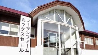 【ミックスセール2023】当歳セッションは15億2800万円の売り上げ…44頭上場で落札率は100%