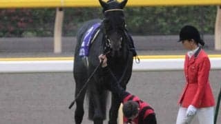 天皇賞(秋)で天覧競馬を実施 令和初の東京競馬場へ行幸