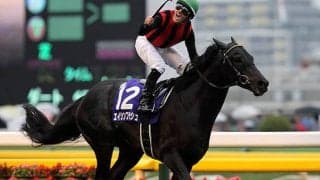 平成の天覧競馬を振り返る 12年天皇賞(秋)ではM.デムーロ騎手が両陛下に最敬礼