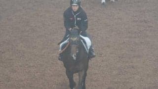 ミッキーゴージャスなど、先週の入厩情報/栗東トレセンニュース