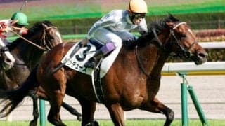 武豊騎手が6年ぶり7勝目へ 昨年の日本ダービー馬と33回目の天皇賞(秋)