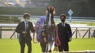 【天皇賞(秋)予想オッズ】イクイノックスが予想1番人気