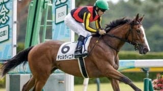 【アルテミスS予想オッズ】チェルヴィニアが予想1番人気