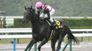 【スワンS予想オッズ】ルガルが予想1番人気