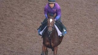 アリーバなど、先週のゲート試験/栗東トレセンニュース