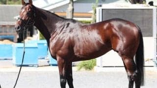 「まるでハーツクライの全盛期」 天皇賞(秋)出走のドウデュースを手放しで絶賛