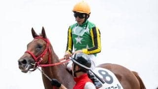 【アルテミスS展望】GI馬続出の出世レース、差し追い込みが決まりやすい