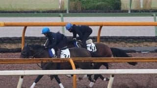 アスクドゥラメンテ、みやこS1週前追い切り速報/栗東トレセンニュース