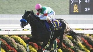 【香港ヴァーズ】日本馬32頭が登録 ドゥレッツァ、タスティエーラ、ジャスティンパレスなど