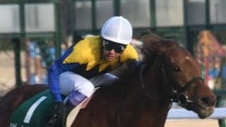 22年愛知杯覇者のルビーカサブランカが登録抹消 ノーザンファームで繁殖入り