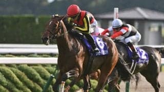 【香港カップ】日本馬30頭が登録 リバティアイランド、ドウデュース、ジャックドールなど