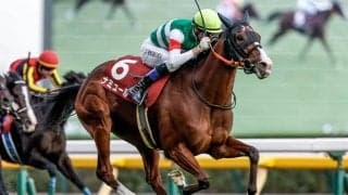 【香港マイル】日本馬25頭が登録 ナミュール、セリフォス、ソウルラッシュなど