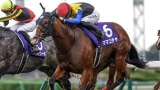 【香港スプリント】日本馬17頭が登録 ママコチャ、ピクシーナイト、メイケイエールなど