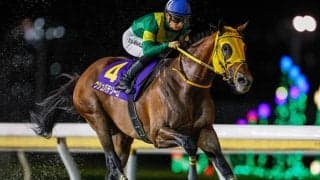 米ブリーダーズカップ出走予定の日本馬9頭が現地到着 各陣営がコメント