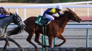 ルビーカサブランカが競走馬登録抹消