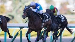 ブラヴァスが競走馬登録抹消