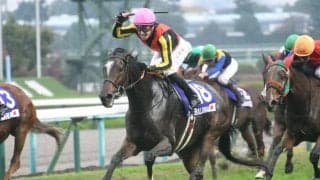 【エリザベス女王杯想定】ジェラルディーナ、ブレイディヴェーグなど16頭