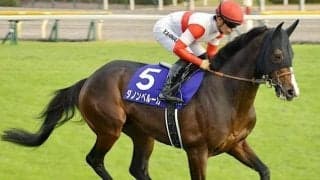 “ジャスタウェイの再現V”狙う!? 掲示板率100％のハーツクライ産駒が天皇賞(秋)制覇へ