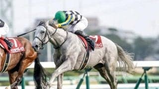 【天皇賞(秋)予想】注目度低下の今回が絶好の狙い目？ AIが推す伏兵が波乱演出か