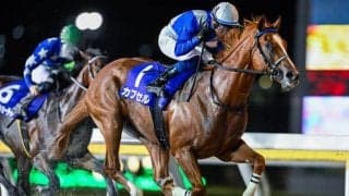 【船橋・平和賞結果】カプセルが逃げ切りV！道営所属馬が上位独占