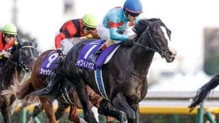 【天皇賞(秋)展望】中距離チャンピオン決定戦、イクイノックスの連覇に期待したい