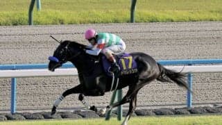 2023香港国際競走に日本馬が登録…リバティアイランド、ドゥレッツァなど