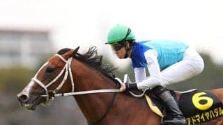 毎日王冠で上がり最速33秒1 スイープトウショウの甥が天皇賞(秋)で激走狙う