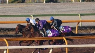 友道康夫厩舎3頭、アルゼンチン共和国杯1週前追い切り速報/栗東トレセンニュース