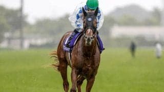 NHKマイルC覇者シャンパンカラーは年内休養へ 秋初戦の富士Sを回避