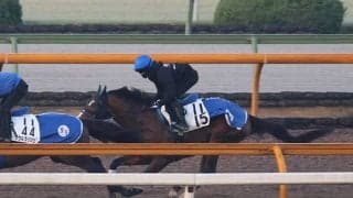 ゼッフィーロ、アルゼンチン共和国杯1週前追い切り速報/栗東トレセンニュース