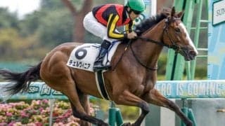 【アルテミスS出走馬・騎手確定】チェルヴィニア＆C.ルメール騎手、ライトバック＆浜中俊騎手など10頭