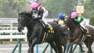 【スワンS出走馬・騎手確定】ルガル＆武豊騎手、アヴェラーレ＆川田将雅騎手など18頭