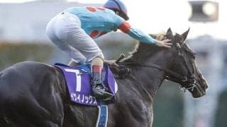 【天皇賞(秋)・調教後馬体重】イクイノックスは496kg、ドウデュースは516kg