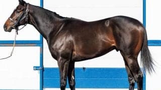 【JRA新馬戦】スキルヴィングの半妹ジークルーネなどがデビュー