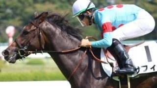 重賞4勝サリオスの全妹 アルテミスSで初タイトル獲得なるか