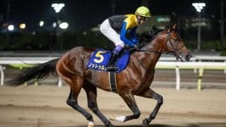 【JBCクラシック】JRA出走予定馬