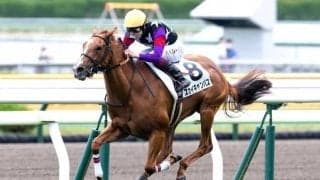 【エーデルワイス賞】JRA出走予定馬