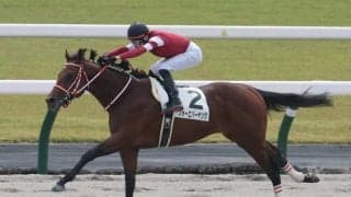 【JBC2歳優駿】JRA出走予定馬