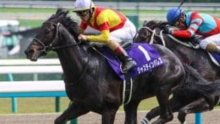 秋盾で惜敗続くディープインパクト産駒 V候補の2頭参戦でジンクス覆すか