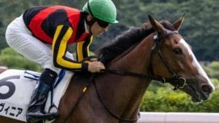 過去2着4回のC.ルメール騎手 “桜花賞候補”とアルテミスS初制覇へ