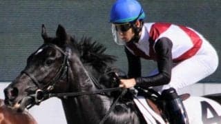 武豊騎手が同一重賞最長“ブランクV”狙う スワンSに3歳世代トップ級の短距離馬と参戦