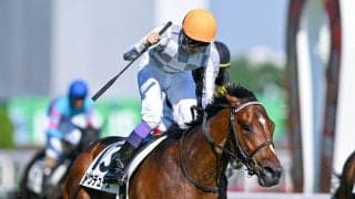 【天皇賞・秋】出走馬の調教後の馬体重