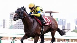 天皇賞・秋はディープインパクト産駒の「連対率」に期待　イクイノックスとドウデュースの牙城を崩せるか
