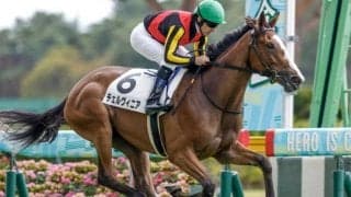 【アルテミスS枠順確定】チェルヴィニアは4枠4番、ライトバックは1枠1番